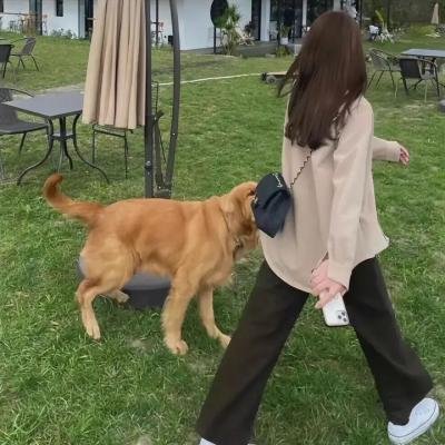 掘地父子