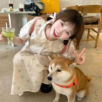 甄嬛爱不停